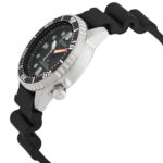 Promaster Black Dial Ladies Watch - Image 2